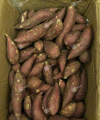 ������������ǲ��ǳԺ����ļ��ڣ�