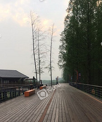 �̵�·�����𻵣�û�о�ʾ��