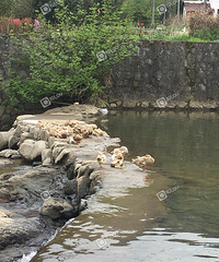 ˮ��ׯˮ�⻹��Ҫ��ǿԴͷ����