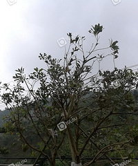 [����]˭�ܾȾ�������÷�����Բ���һ���£��ͱ��������