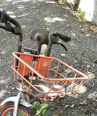 �ǹ������