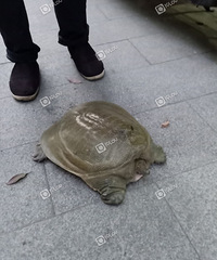 ��ɽ��ץ���Ž���صļ��㣿