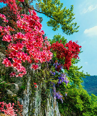 Լ������ž鼴�������ɺ��������ٵ�һ�꣡