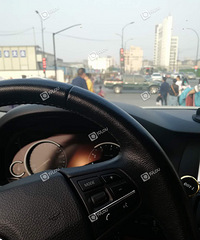 ��̶��ڵĺ��̵���ë����