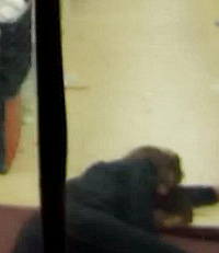 [����]�ٰ����ӱ���˵�Լ���潣����淢�������ù�������