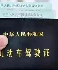 更方便!今天起,杭州5大平台,都能线上处理这类交通违法!