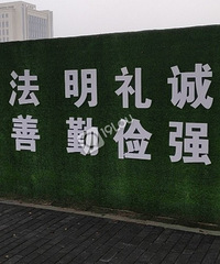 �ܸо�����ֵֹģ�