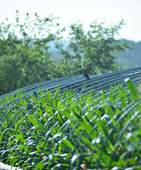 [��Ӱ]�ε����Ǳ������