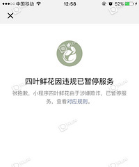 ��Ҷ�ʻ�������ɶ���߹