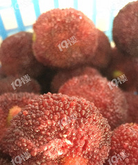 [�ع�]û����������ˮ���꣡�����Ұ���������÷�ͻ�����