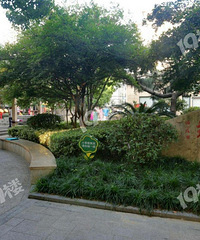 [����]��ǰ�ߴ��ϵ���ԷС������ò����Ҫ�����䡱��