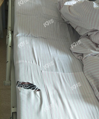 ������ص�����ҽԺ