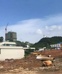 ˳½չ2021ٰ˼ſڵĳҪ