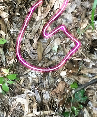 [����]̫�ֲ��ˣ���Ұ���һ�����岽�߽�����Ӵ�