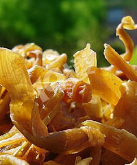 ����������ڶ���һ����