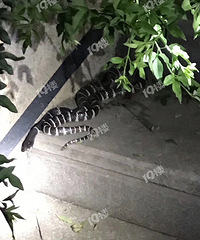 [ע��]��Ϫ�߾��־綾�����ߣ�ϲ������ɢ��������ע������