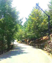 81Ŀɽ·νֹͿͳͨУ