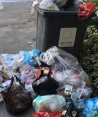 这是制造登革病毒吗?绿岛的物业呢?