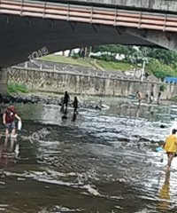 [����]���ע�⣡��Ϫ��ά�����Ǵ�Ƶ�Σ����ִ�������