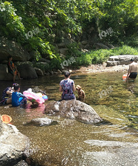 小小一碗水,迎来四方客。