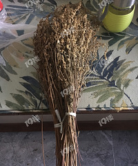 �ٰ�������ȵ�������ѧ����ʲô��