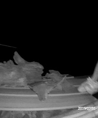 [����]�ٰ�һŮ�ӳ��ߺ���һ�����֣��ɷ򳹵׻��ˣ�