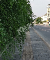 [�ع�]����·�ͻ�ʯ��·��������е��̻����޼��ˣ�