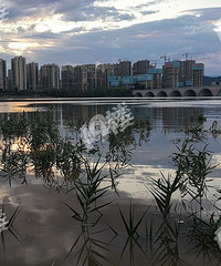 青山湖绿道的美中不足:水一涨就淹没