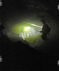再这样下去河里生物都快没了
