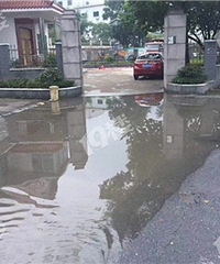 每每下雨时,上畔村这里可养鱼