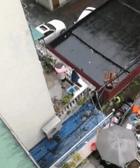 锦福新村这位住户,你这样真的好吗?