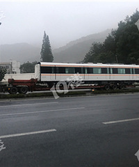 杭临地铁16号线列车陆陆续续的来了