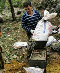 打山核桃盛宴开始了