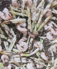 幸福生活——我的自创菜!好吃
