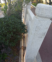 苕溪南街万马桥附近好长一段大白天的景观灯还亮着。