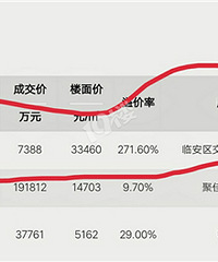 临安这个土拍什么情况?
