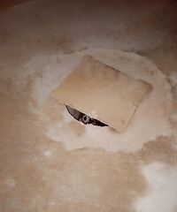 [�²�]��ԷС�������Ǻ��£����ǰ�ȫ����Ҳ̫���˰�