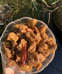 ���������Ͷ������¾����