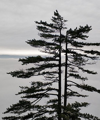 [����]�ٰ����ճ�����ϼ�ľ���ʤ�أ�����羰������