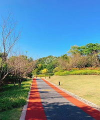 漫游狮山公园