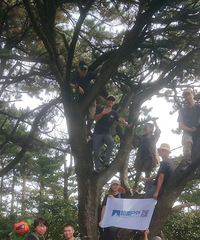 ��Ӫ����