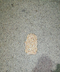 [����]·��ʯ���֣�ÿ��ʮ����ʮ�׾�������һ������