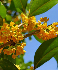 ·���������������