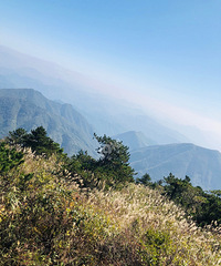 治疗感冒,鼻炎最好的地方不在医院,而是在山顶!