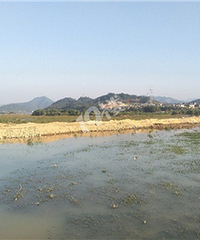 重磅!青山湖湖底隧道开工了
