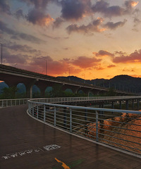 �ֻ�  ��29��