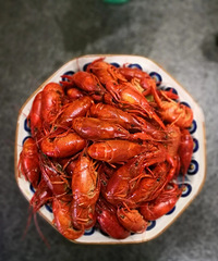 С��Ϻը����������