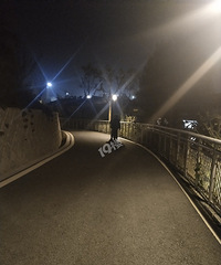 一人一袋瓜子,边吃边吐