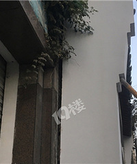 苕溪北路这里这样撑着真的安全吗?