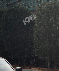 ����·�����ô󣬻�Ӱ�쳵��������